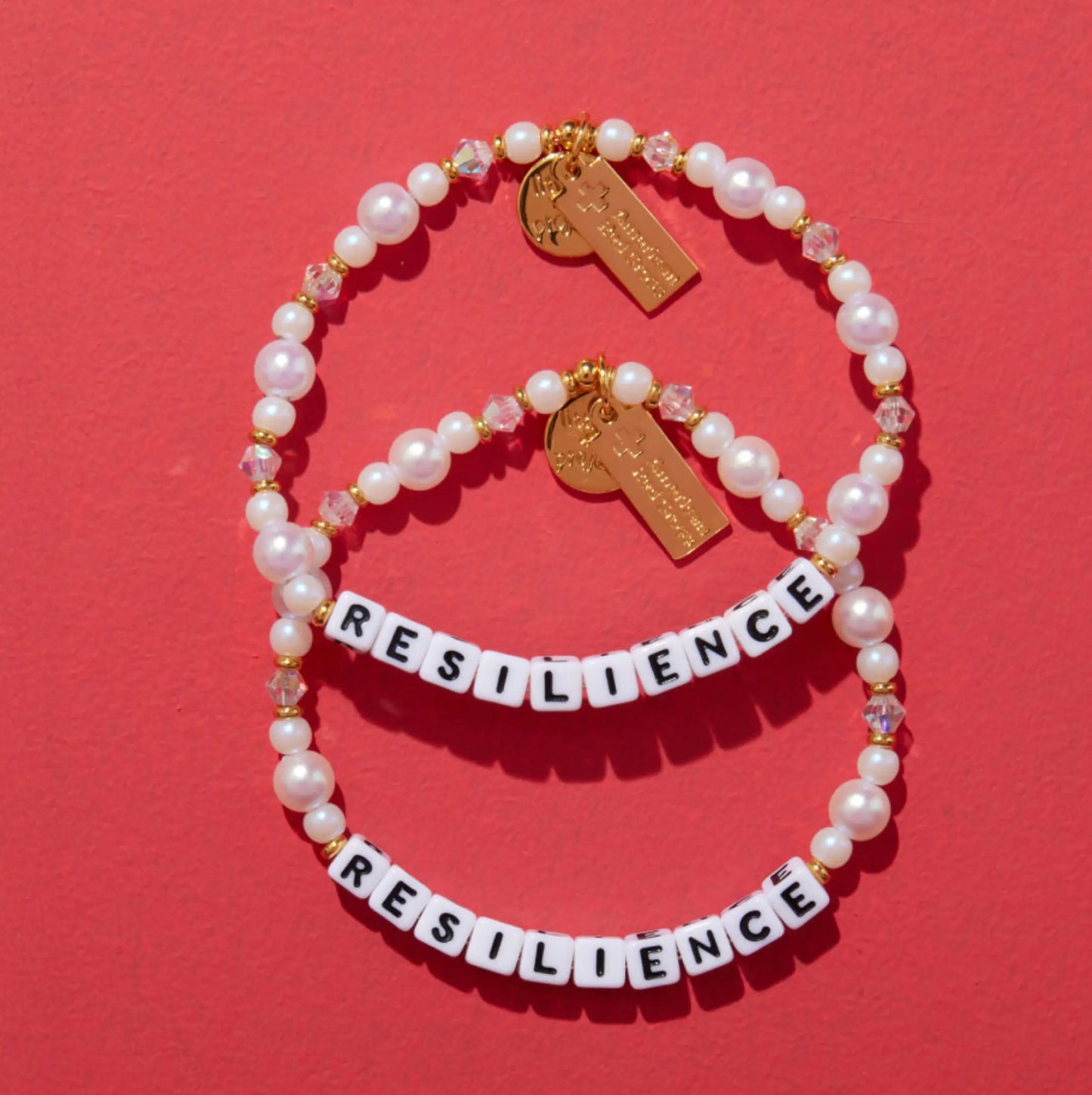 Resilience- Disaster Relief